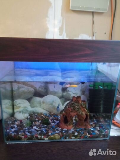 Аквариум