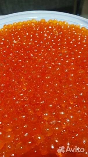 Красная икра 2023