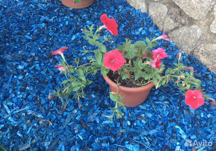 Щепа декоративная синяя