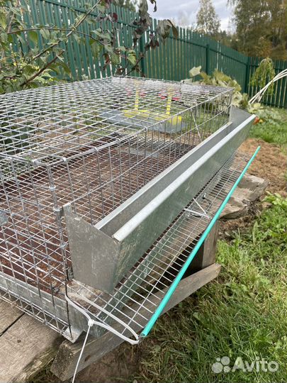 Клетки для перепелов бу