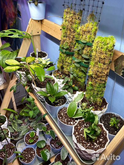 Тотем для растений (опора)