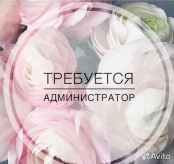 Администратор парикмахерской