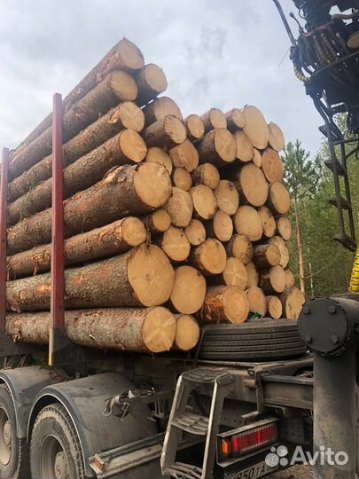 Лес кругляк пиловочник сосна