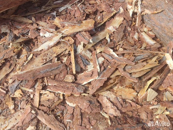 Мульча кора