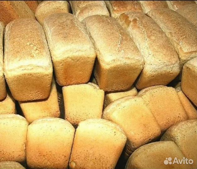 Хлеб на корм животным