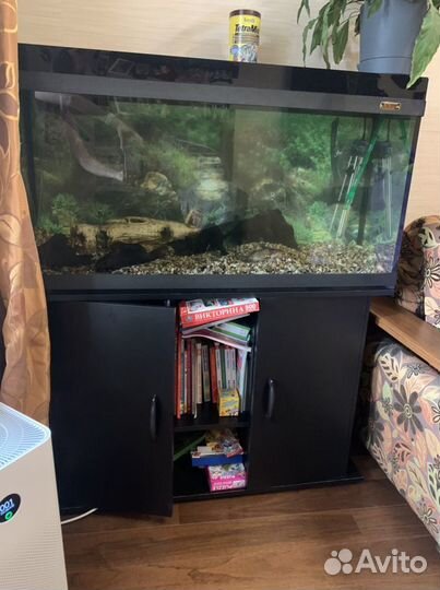 Аквариум