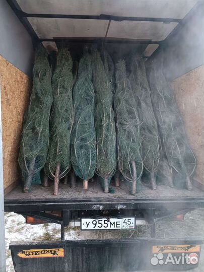 Грузоперевозки. Газель. Домашние переезды