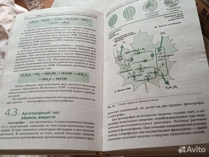 Книга. Общая биология 10-11.Хорошая для подготовки