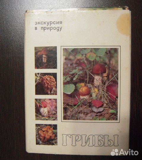 Набор открыток 