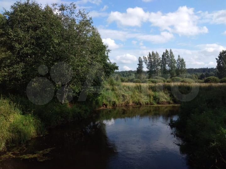 Участок 100 сот. (СНТ, ДНП)