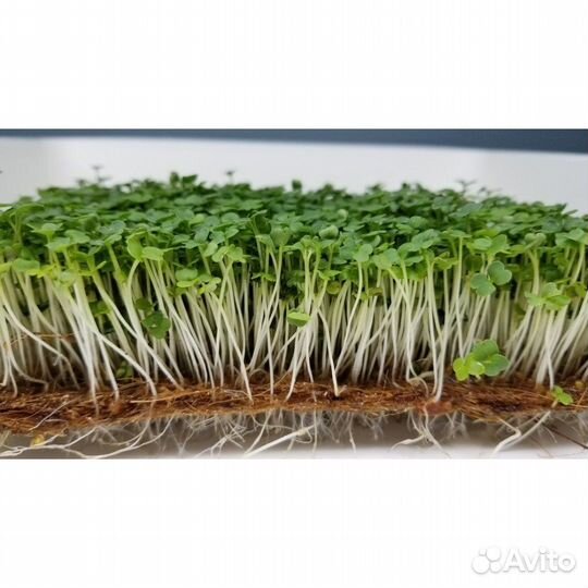Коврик для микрозелени