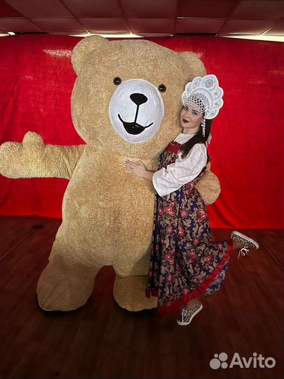 Плюшевый медведь, мишка Тедди, Белый Медведь