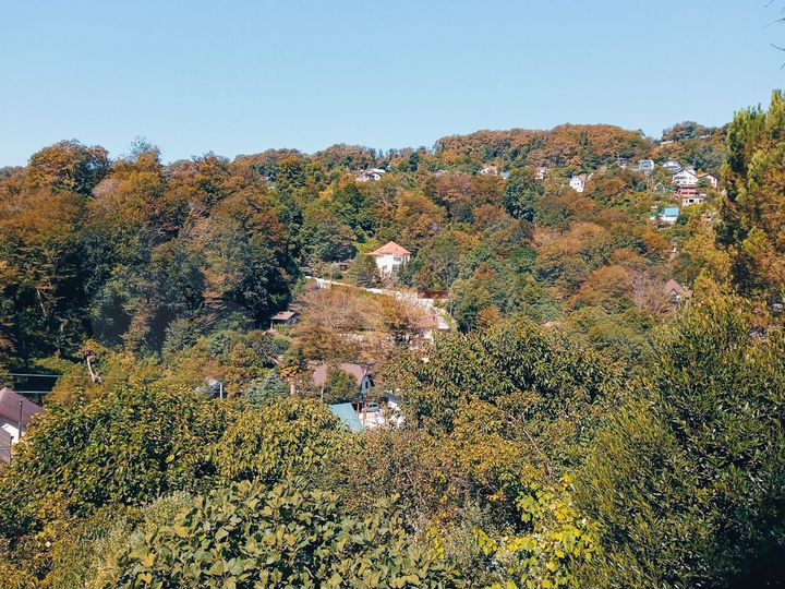 Участок 7 сот. (СНТ, ДНП)