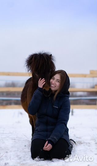 Шетлендский пони