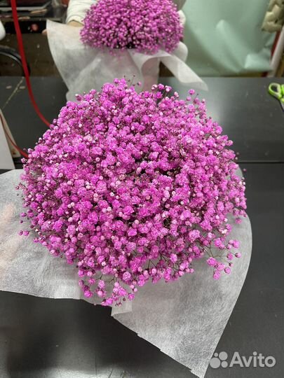 Гипсофила в коробке