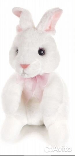 Заяц и пришелец