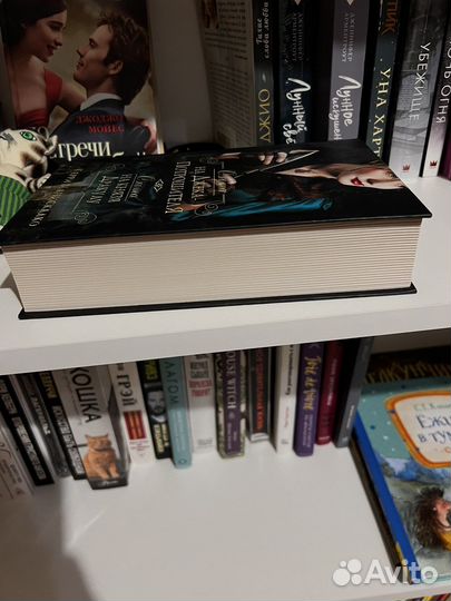 Охота на джека потрошителя. Охота на князя Дракулу