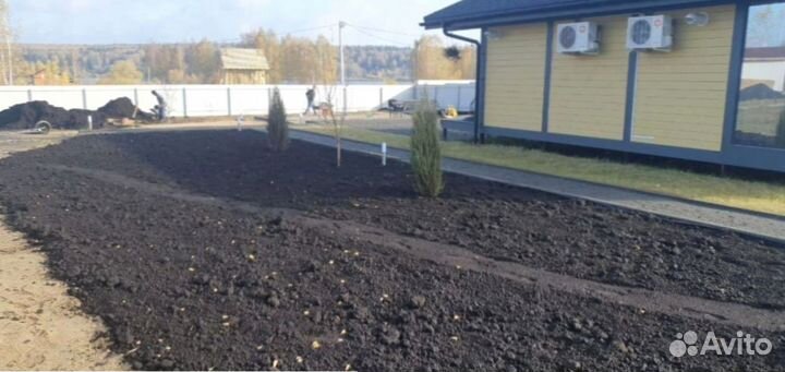 Рулонный газон из собственного питомника