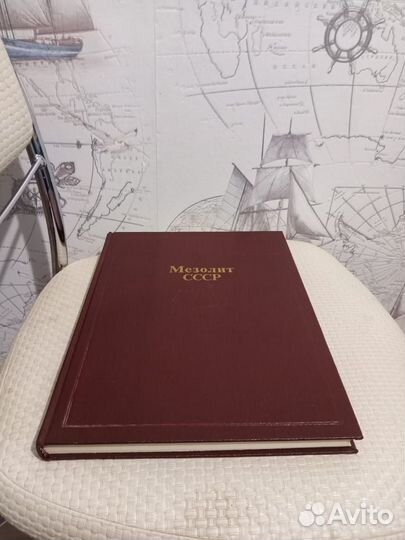 Мезолит (Археология СССР)