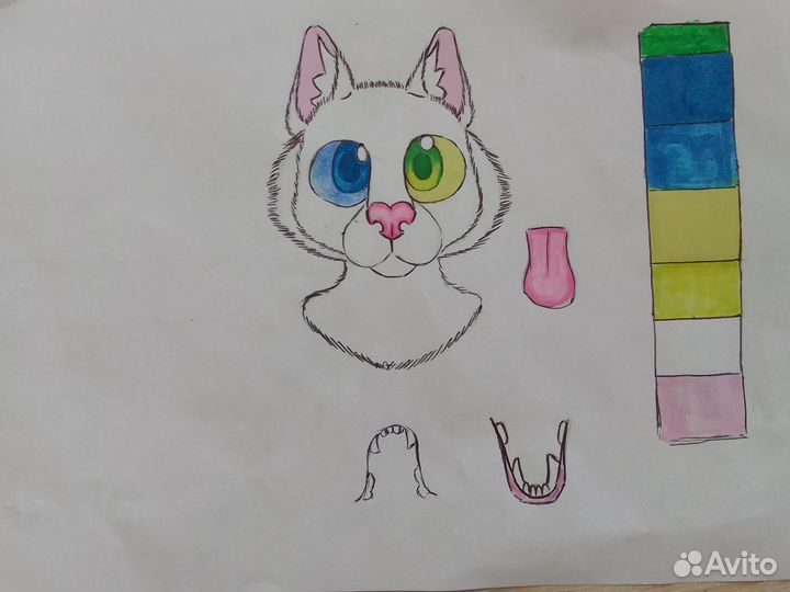 Фурсьют кота, пpeдзаказ