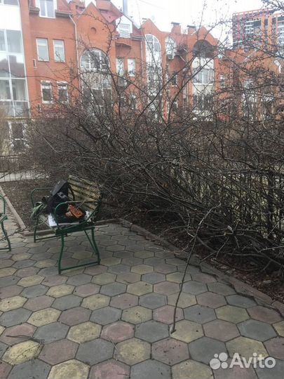 Аренда измельчителя веток садового