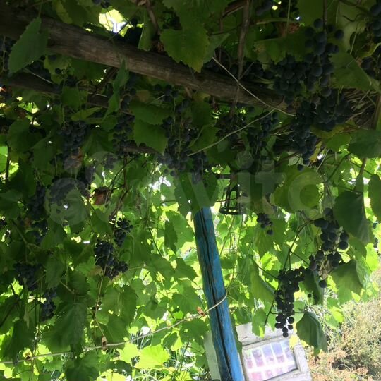 Дом 60 м² на участке 25 сот.