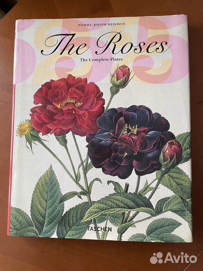 The roses альбом