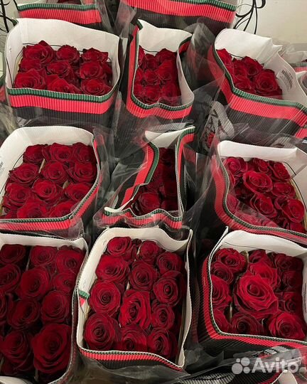 Цветы Розы и букеты с доставкой Крупные 60см
