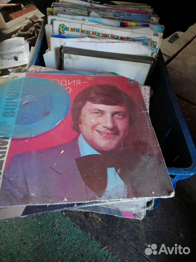 Виниловые пластинки