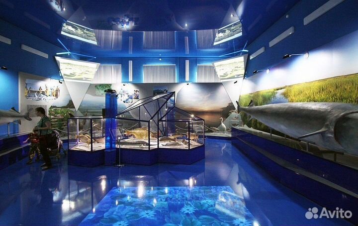 Золотое дно и цветок Будды. Астрахань