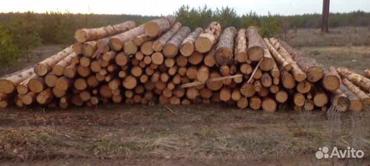 Лес кругляк сосна оптом