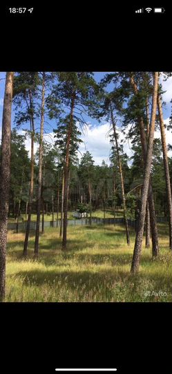 Участок 37,5 сот. (ИЖС)