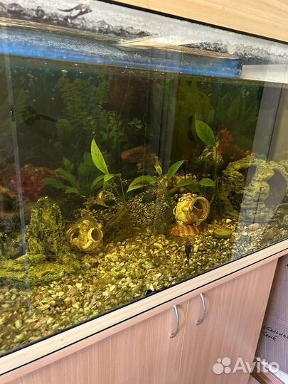 Аквариум с тумбой 200л