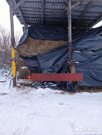 Сено тюкованное луговое