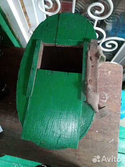 Горбовик деревянный в хор. сост