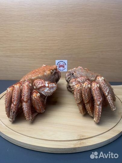 Краб волосатик ресторанный