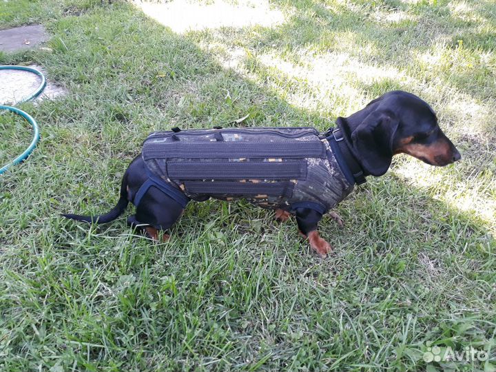 Корсет, бандаж, шейный корсет для собак и кошек