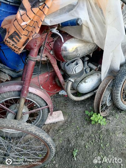 Ява старушка