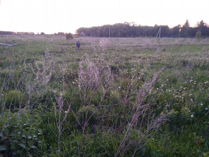 Участок 12 сот. (СНТ, ДНП)