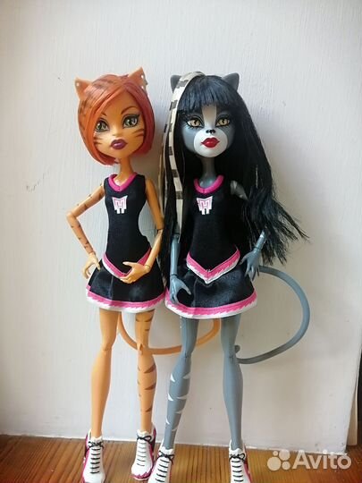 Кукла Монстер Хай торалейи пурсифона