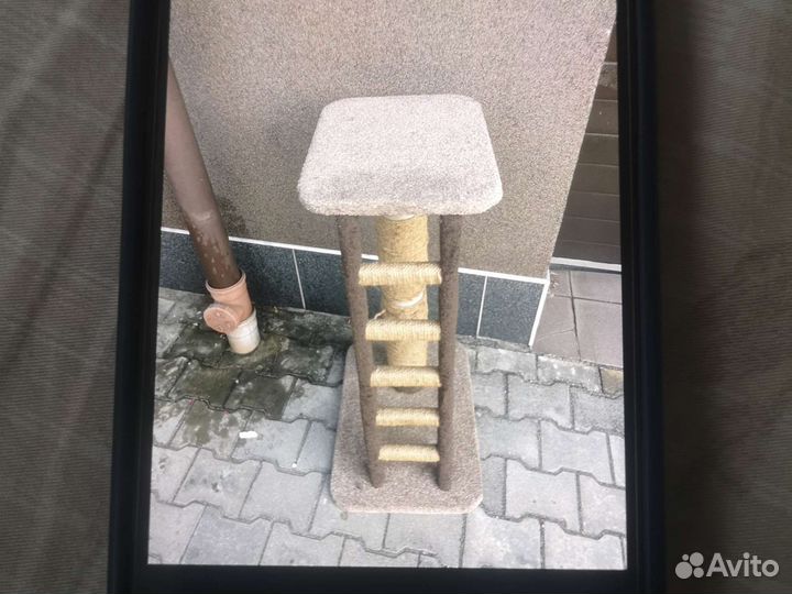 Когтеточка