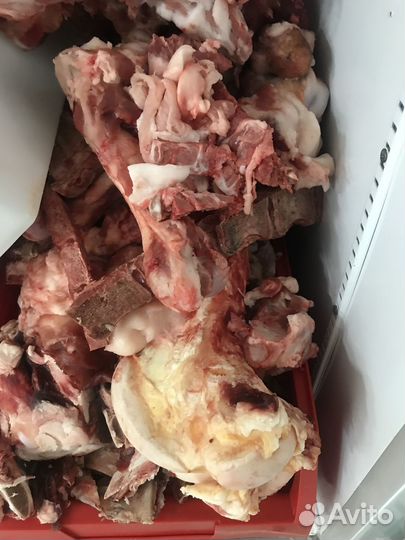 Кости для собак