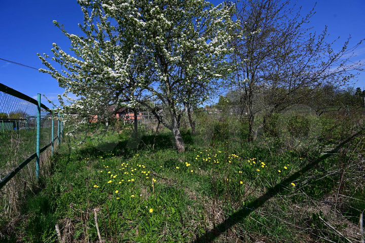 Участок 10 сот. (ИЖС)