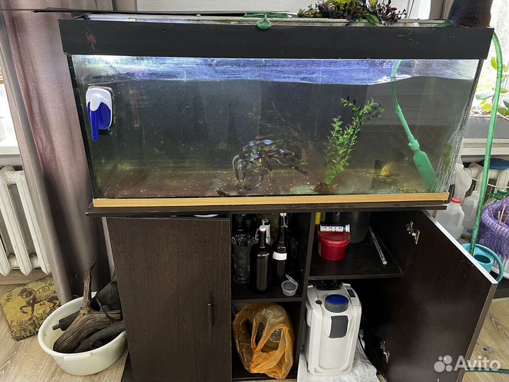 Аквариум