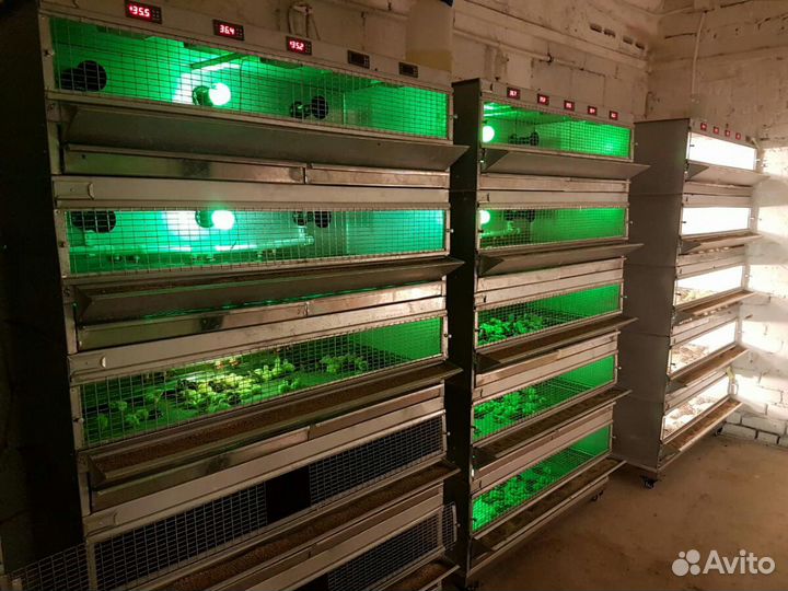 Перепелиные фермы под ключ, Фермы любой слож