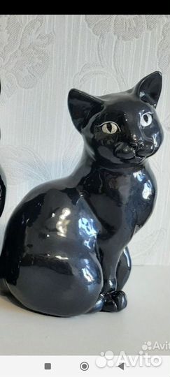 Кошка черная