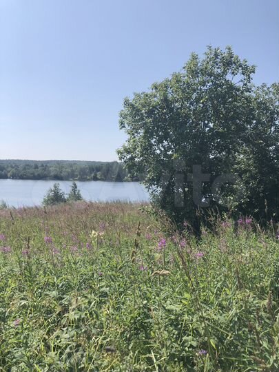 Участок 30 сот. (ИЖС)