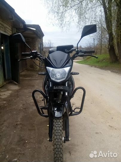 Мопед Alpha RS 13