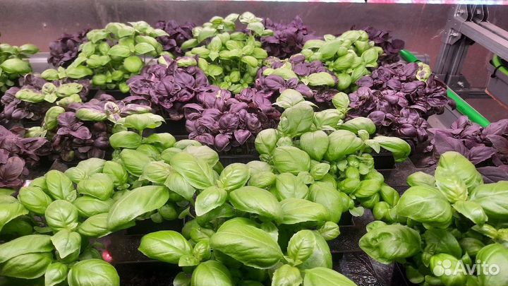 Торговый представитель, менеджер по продажам