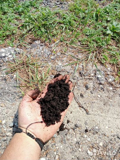 Конский навоз чернозём